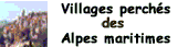 logovp.gif