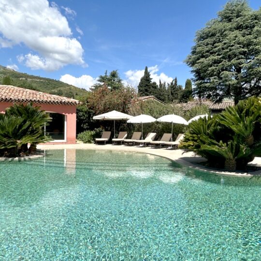 https://www.respelido.com/wp-content/uploads/2016/09/residence-de-vacances-pres-de-nice-carros-respelido-la-piscine_10-540x540.jpg