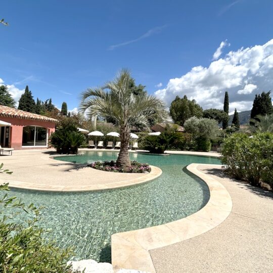 https://www.respelido.com/wp-content/uploads/2016/09/residence-de-vacances-pres-de-nice-carros-respelido-la-piscine_13-540x540.jpg