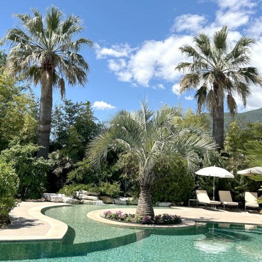 https://www.respelido.com/wp-content/uploads/2016/09/residence-de-vacances-pres-de-nice-carros-respelido-la-piscine_14-540x540.jpg