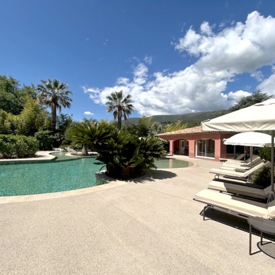 https://www.respelido.com/wp-content/uploads/2016/09/residence-de-vacances-pres-de-nice-carros-respelido-la-piscine_15-540x540.jpg