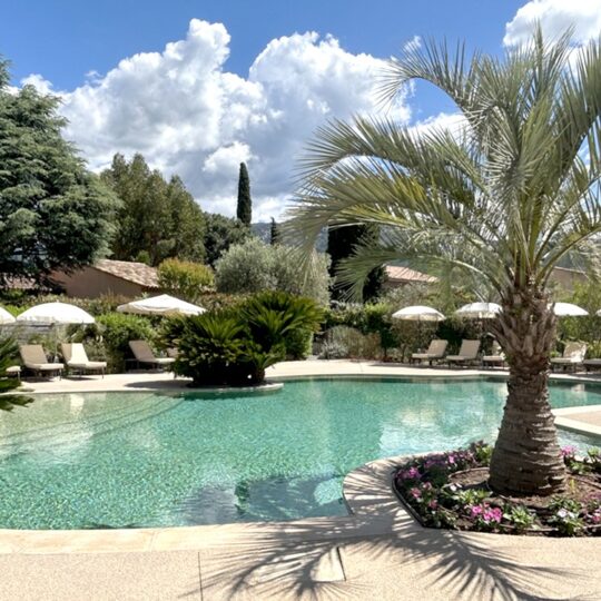 https://www.respelido.com/wp-content/uploads/2016/09/residence-de-vacances-pres-de-nice-carros-respelido-la-piscine_19-540x540.jpg