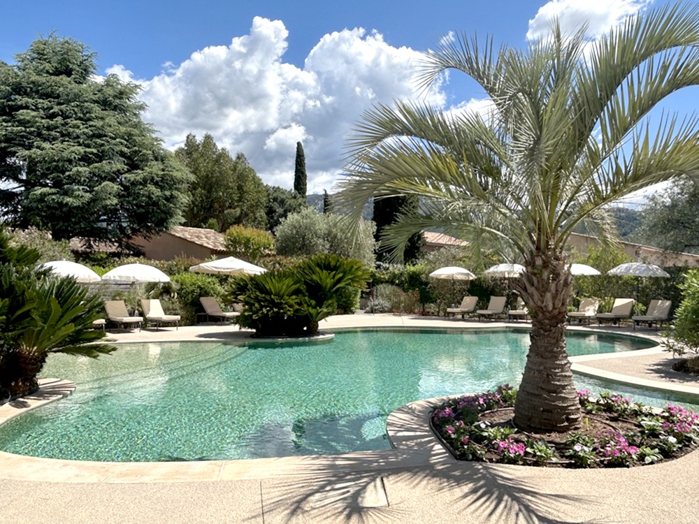 https://www.respelido.com/wp-content/uploads/2016/09/residence-de-vacances-pres-de-nice-carros-respelido-la-piscine_19.jpg