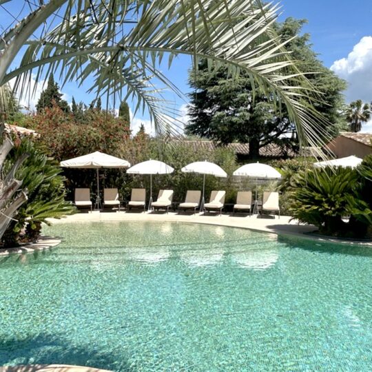 https://www.respelido.com/wp-content/uploads/2016/09/residence-de-vacances-pres-de-nice-carros-respelido-la-piscine_20-540x540.jpg