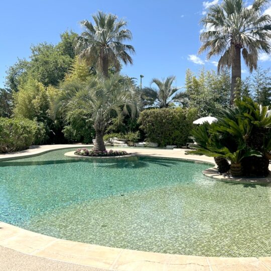 https://www.respelido.com/wp-content/uploads/2016/09/residence-de-vacances-pres-de-nice-carros-respelido-la-piscine_25-540x540.jpg