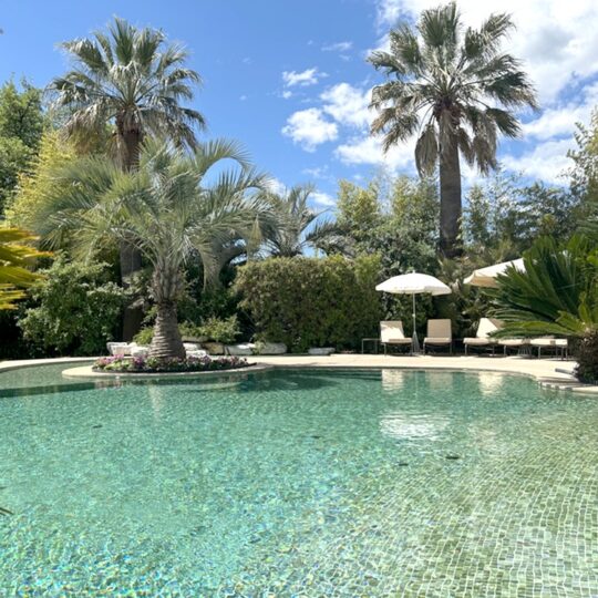https://www.respelido.com/wp-content/uploads/2016/09/residence-de-vacances-pres-de-nice-carros-respelido-la-piscine_26-540x540.jpg