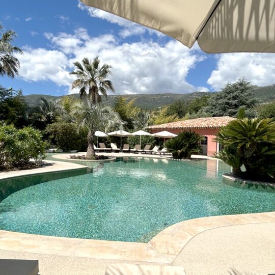 https://www.respelido.com/wp-content/uploads/2016/09/residence-de-vacances-pres-de-nice-carros-respelido-la-piscine_6-540x540.jpg