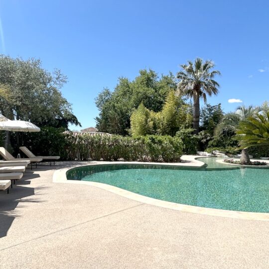 https://www.respelido.com/wp-content/uploads/2016/09/residence-de-vacances-pres-de-nice-carros-respelido-la-piscine_8-540x540.jpg
