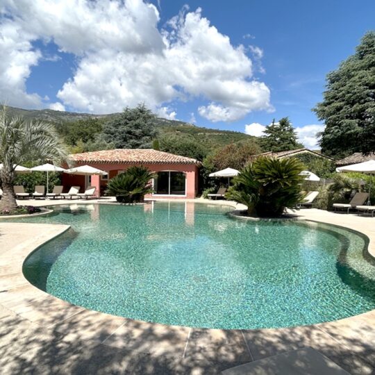 https://www.respelido.com/wp-content/uploads/2016/09/residence-de-vacances-pres-de-nice-carros-respelido-la-piscine_9-540x540.jpg