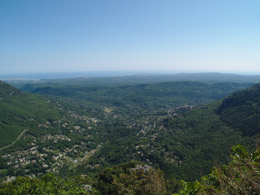 https://www.respelido.com/wp-content/uploads/2016/10/bar-sur-loup-photo-tredok.jpg